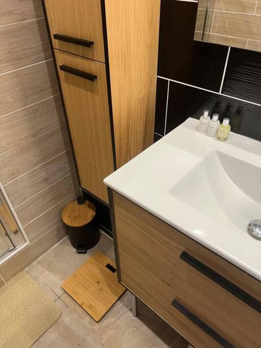Appartement Style Chalet Standing 2 A 6 Personnes La Bourboule Luaran gambar